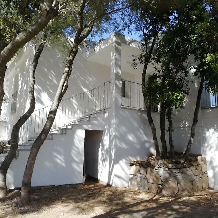 In Campagna Da Nino Hotel Olbia Kültér fotó
