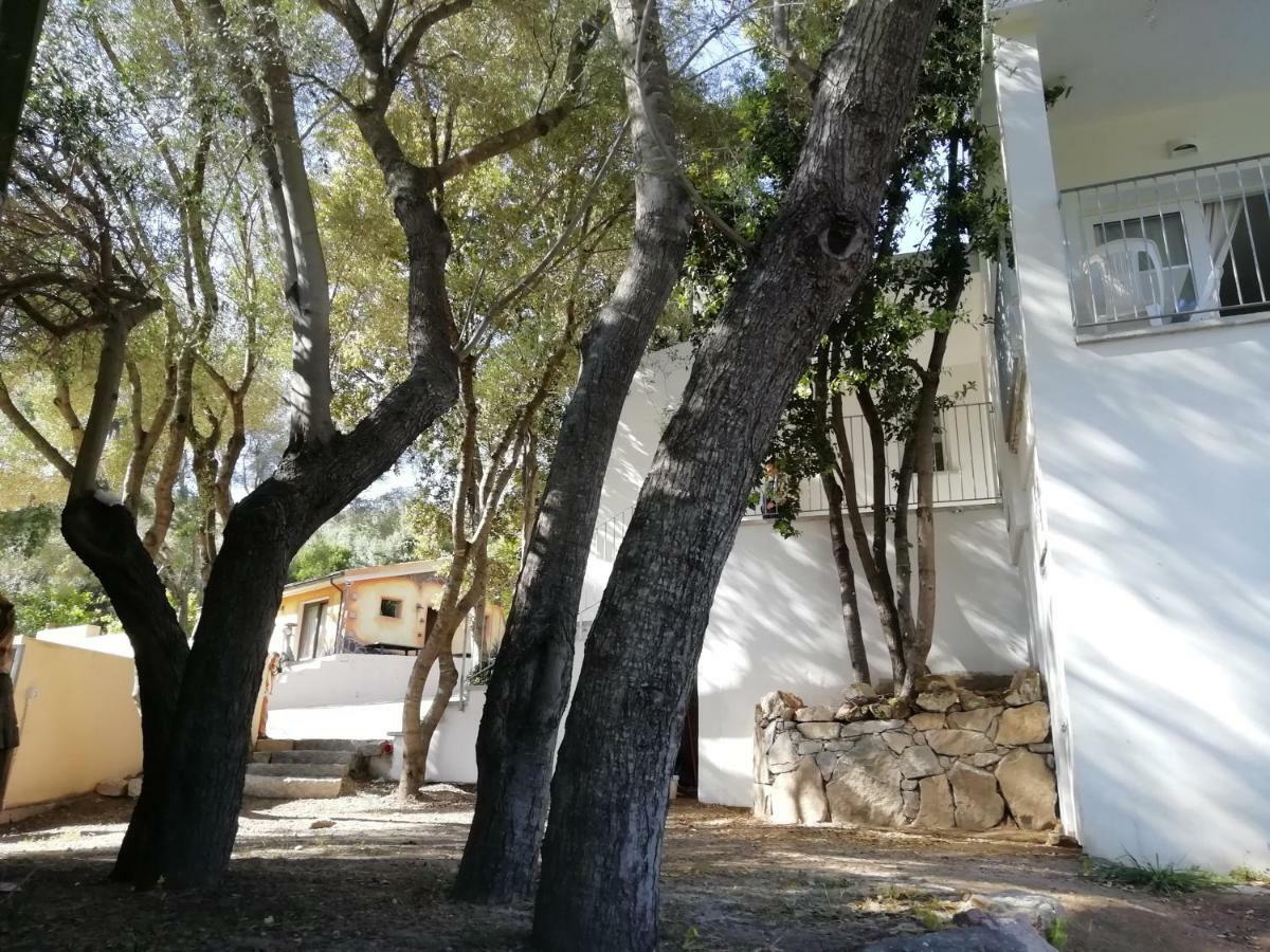 In Campagna Da Nino Hotel Olbia Kültér fotó