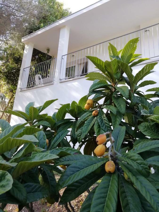 In Campagna Da Nino Hotel Olbia Kültér fotó